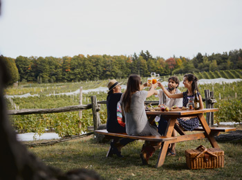 Groupe de 4 personne qui partagent un repas autour de la table de pique-nique dans un vignoble.