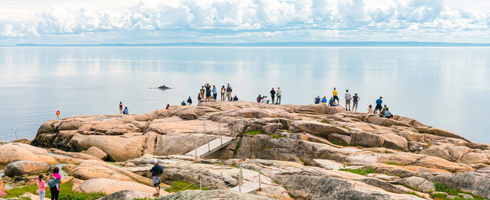 Parc marin du Saguenay–Saint-Laurent