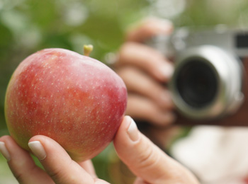 Pomme