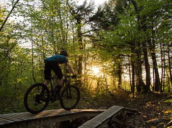 Cycliste en vélo de montagne dans le parc de la Gatineau en soirée.