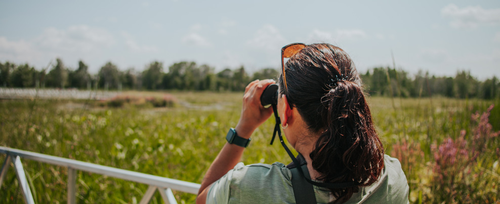 Femme qui fait de l’ornithologie au parc national de Plaisance.