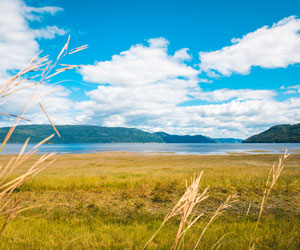 parc marin saguenay st laurent