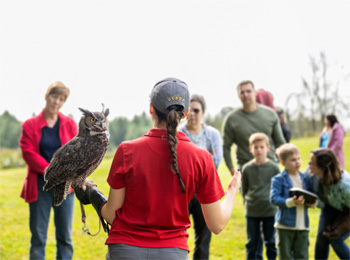 Guide qui fait une démonstration avec une chouette devant quelques personnes.