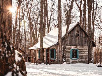 Maisonette pour hébergement à la Sucrerie de la Montagne