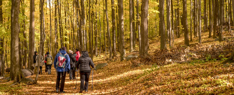 Sentiers de L’escapade au mont Rigaud