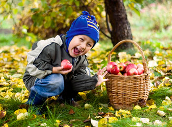 C'est le temps de s'approvisionner en pommes!