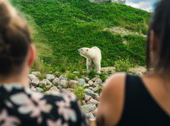 Zoo sauvage de Saint-Félicien