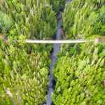 Allier culture, plein air et festivités au Bas-Saint-Laurent