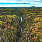 Délices forestiers, plein air et séjour haut perché vous attendent au Bas-Saint-Laurent
