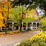 Quoi faire pour se détendre en nature cet automne