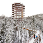 Élargissez vos horizons au Sentier des cimes