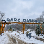 La magie de l’hiver se vit au Parc Omega