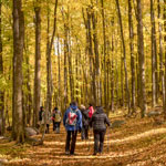 Tous les goûts sont dans la nature durant la saison des couleurs dans Vaudreuil-Soulanges