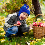 L’agrotourisme : pour renouer avec l’authenticité