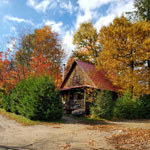 5 suggestions pour un nouveau regard sur l’automne