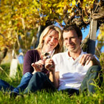Sur la route des vignobles