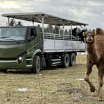 Vivez un séjour passionnant au Parc Safari